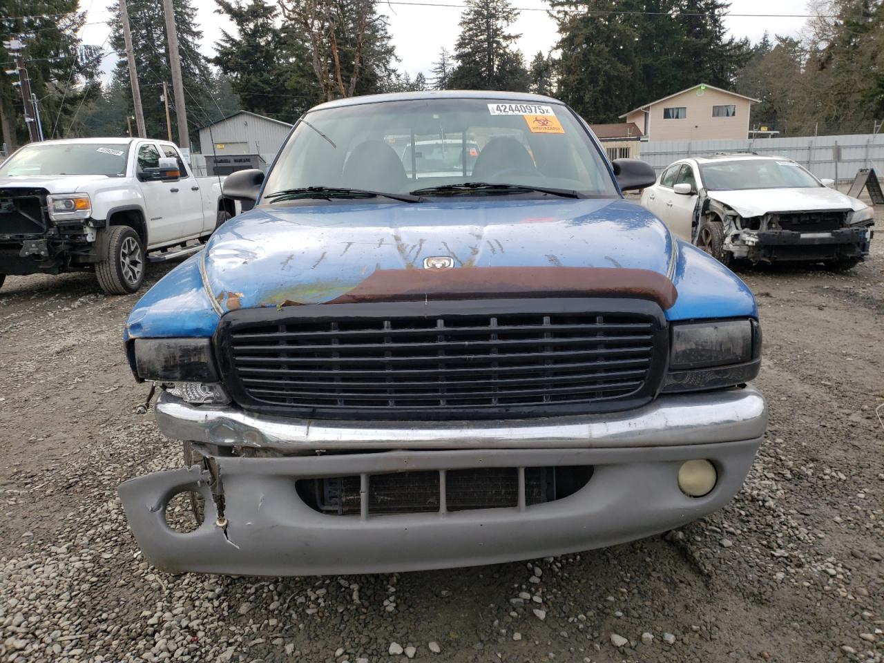 1999 Dodge All Models - Image 5