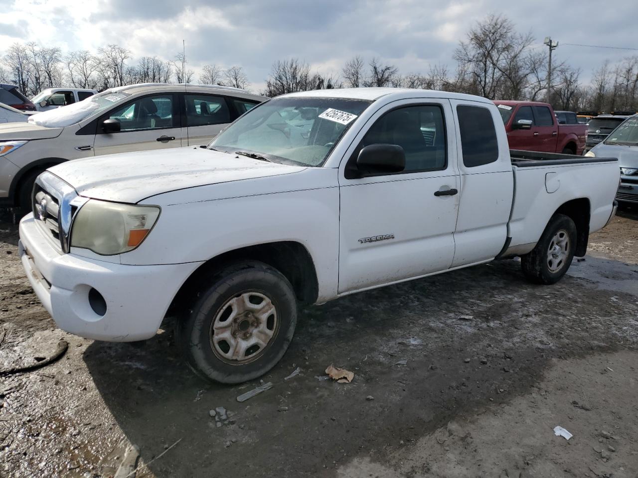 TOYOTA TACOMA WHITE
