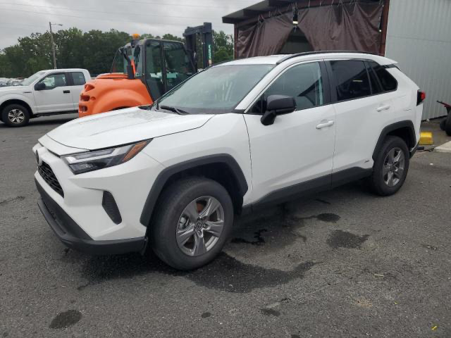 2024 Toyota RAV4 - Image 2