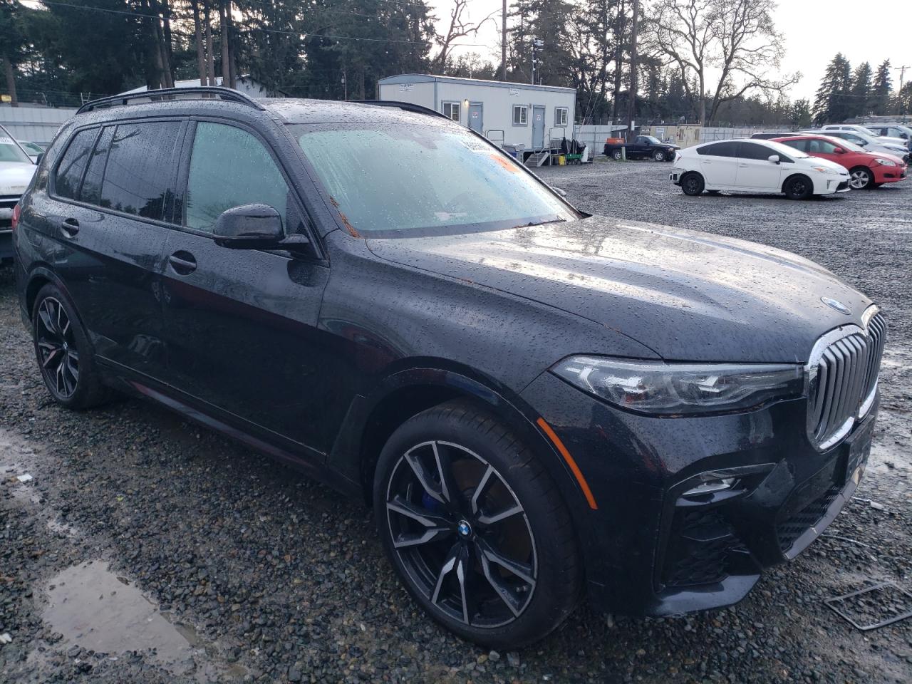 2019 BMW X7 - Image 4