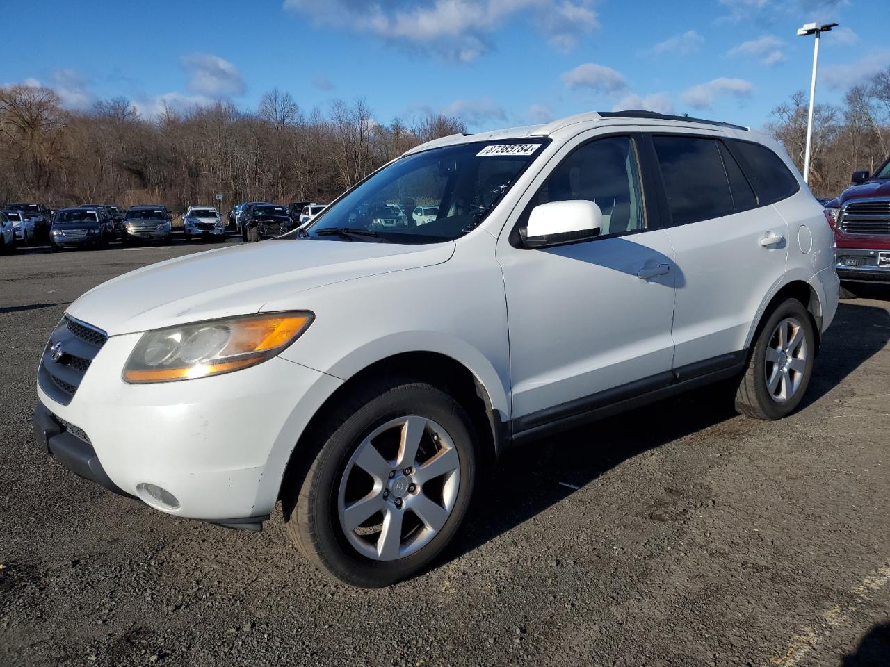HYUNDAI SANTA FE WHITE