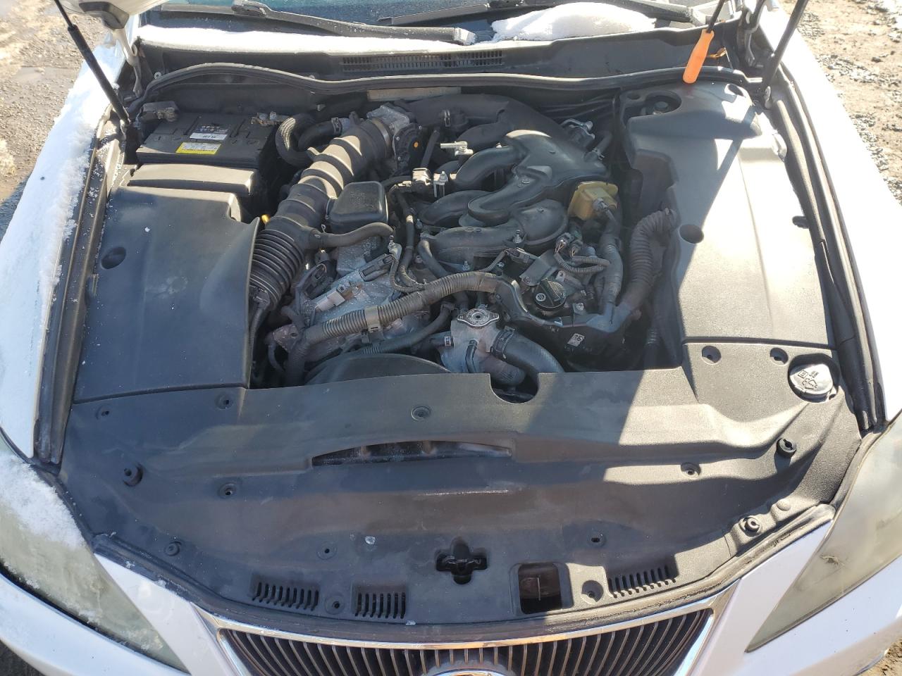 2007 LEXUS IS - Image 11