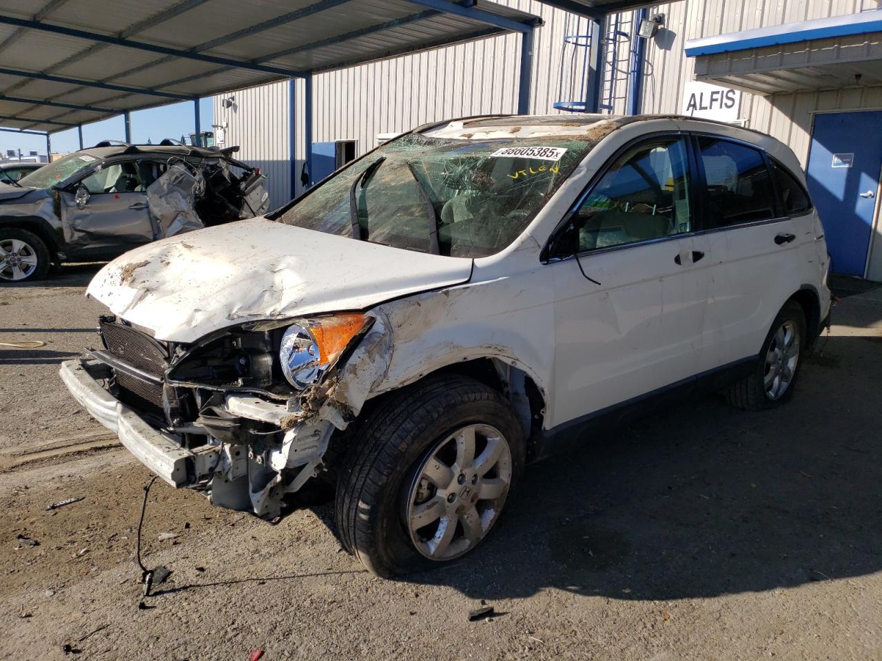 HONDA CRV WHITE