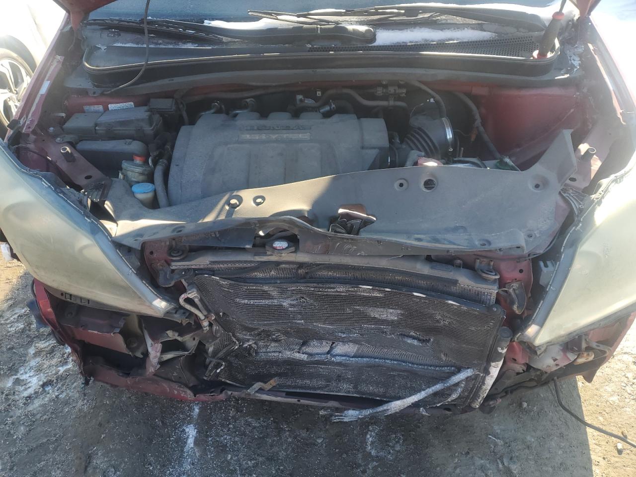 2005 HONDA All Models RED - Image 12