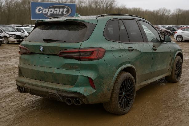 2024 BMW X5 - Image 4
