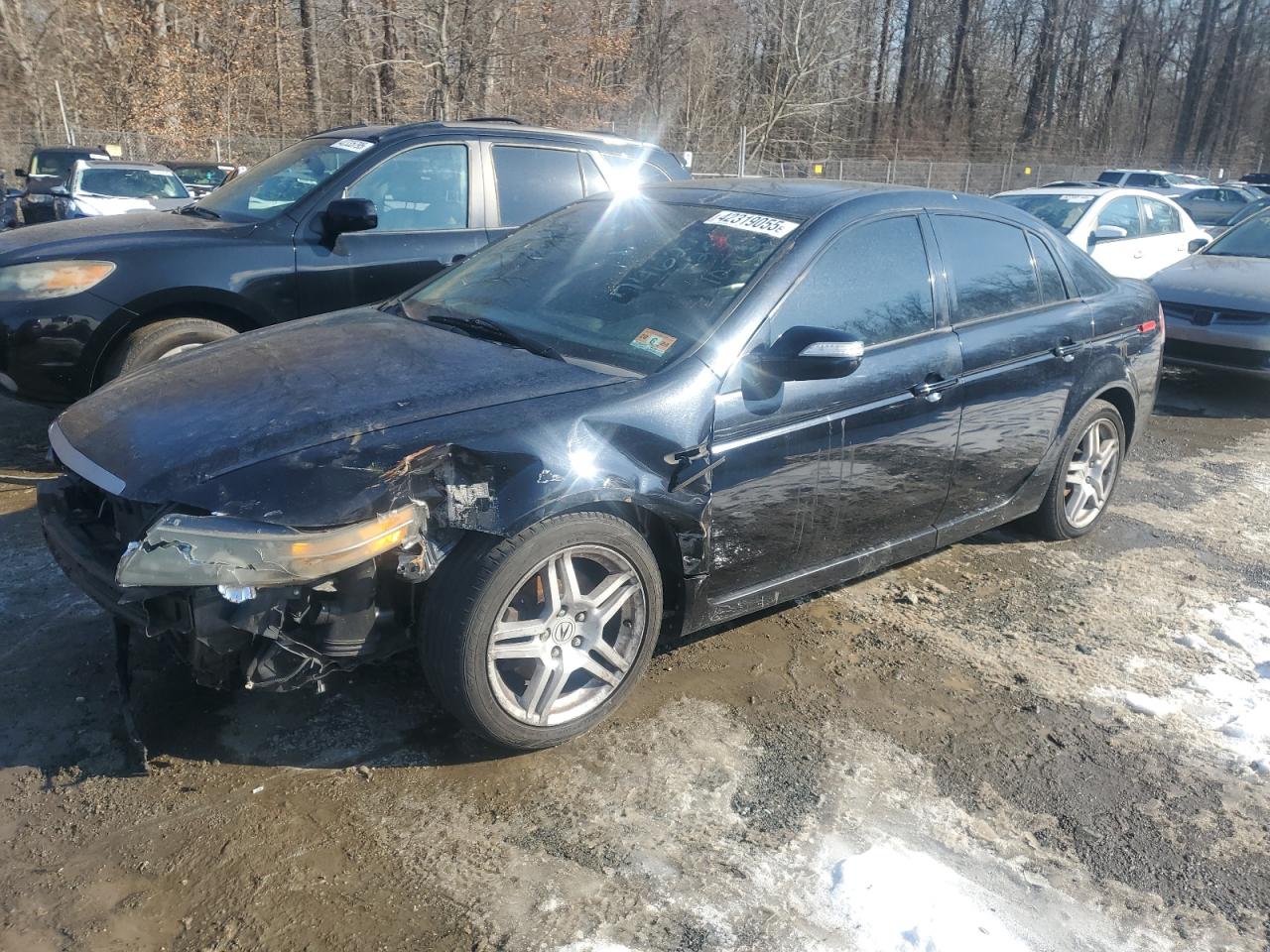 ACURA TL