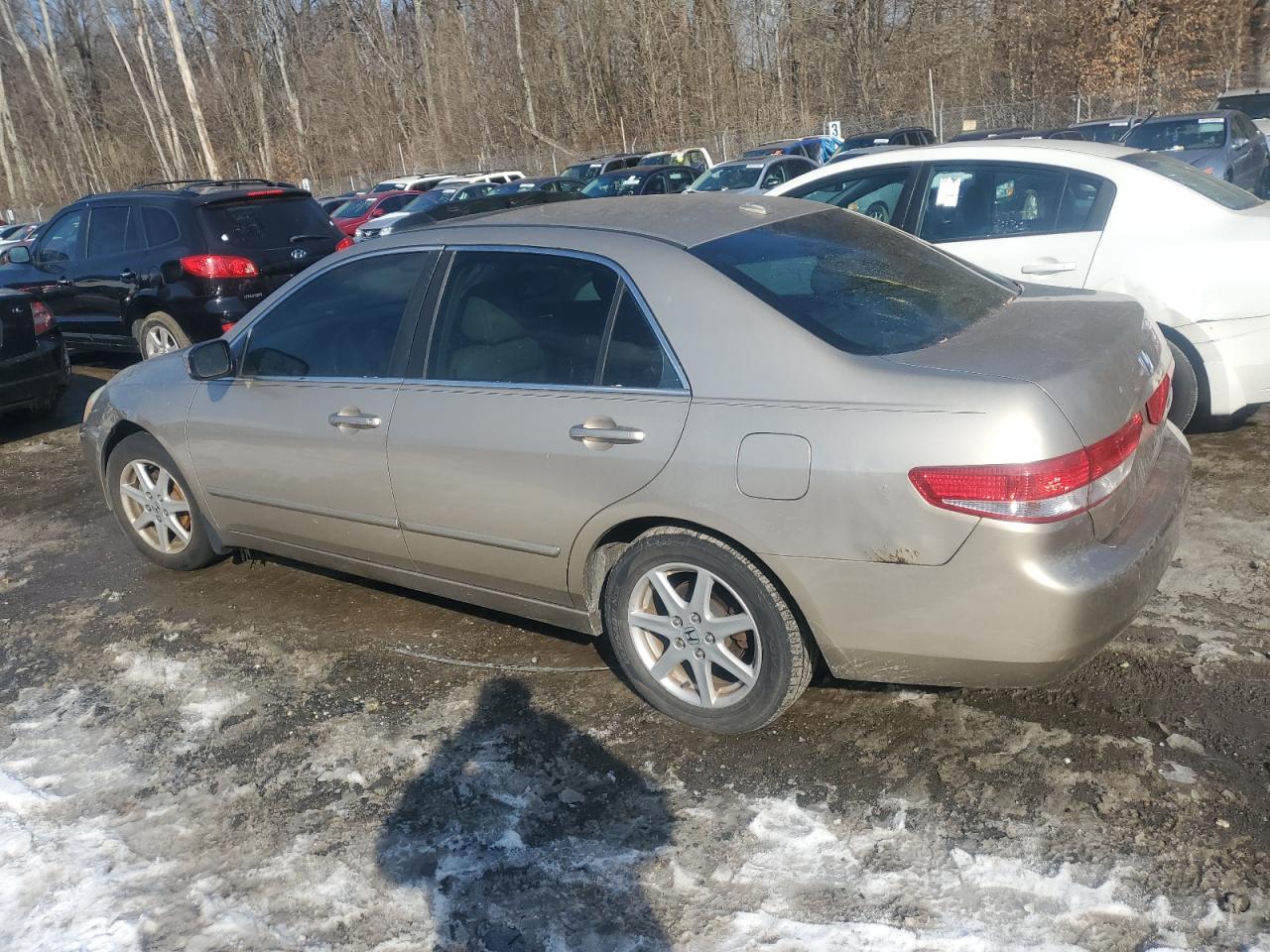 2004 Honda Accord - Image 2