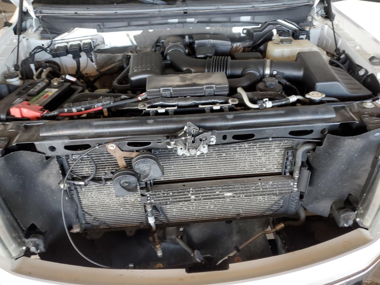 2010 FORD F-150 WHITE - Image 11