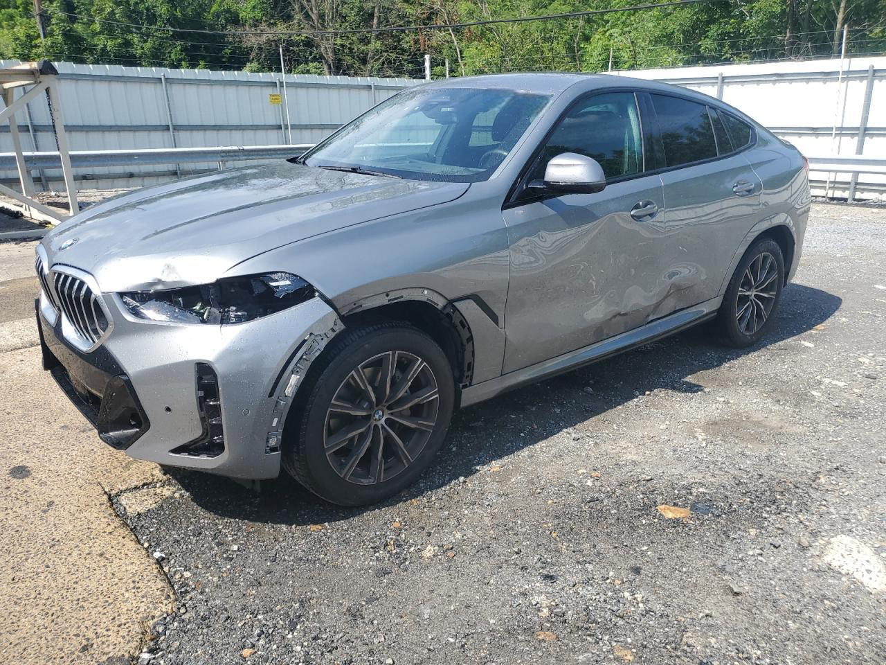 2025 BMW X6 - Image 2