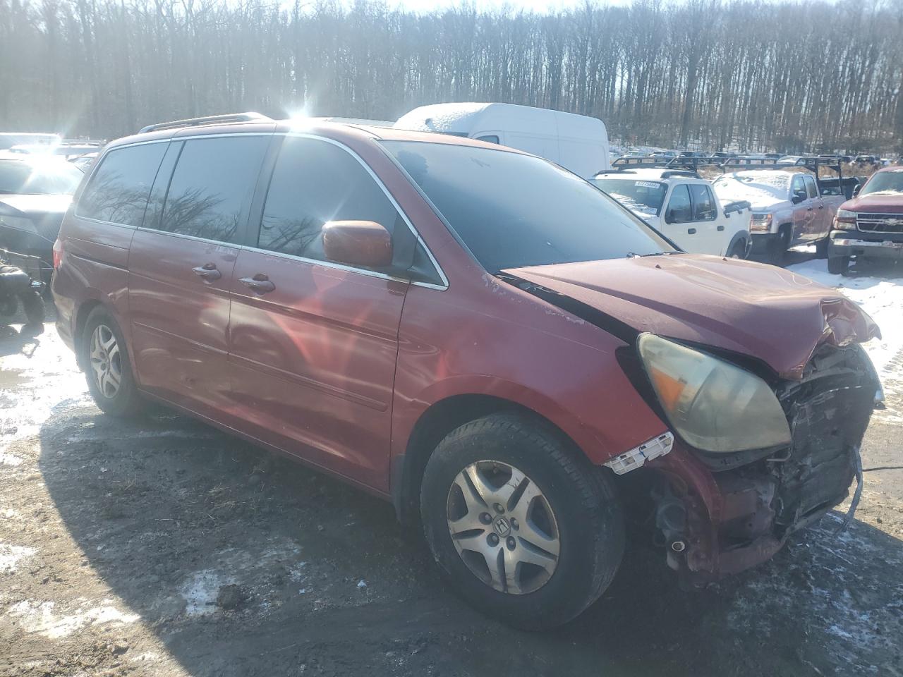 2005 HONDA All Models RED - Image 4