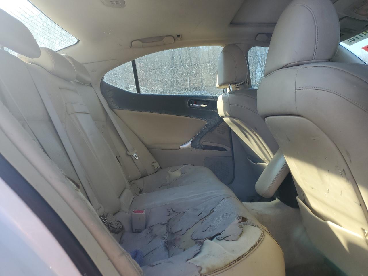 2007 LEXUS IS - Image 10