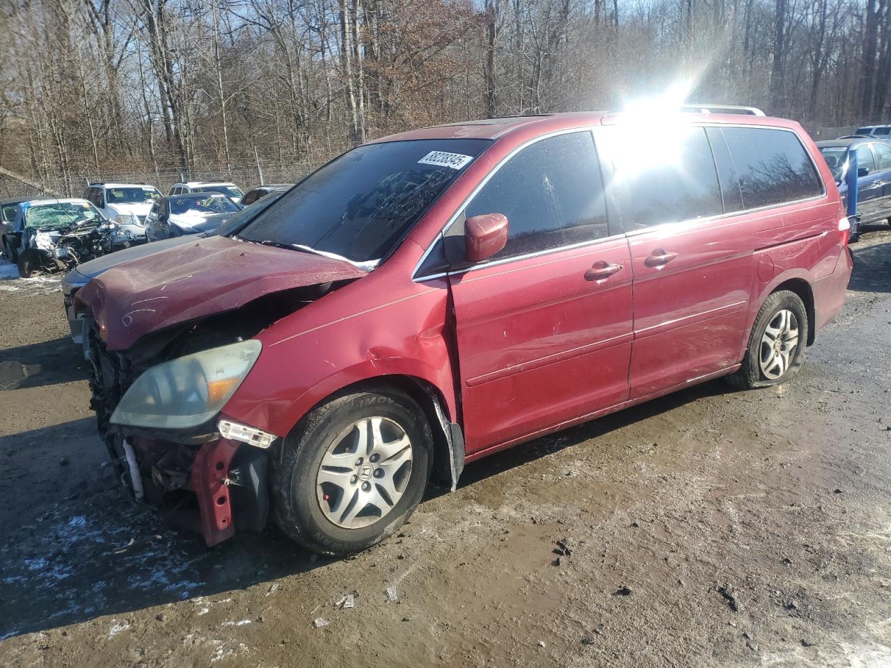 HONDA All Models RED