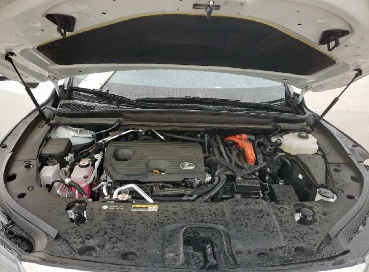 2024 Lexus RX450 - Image 10